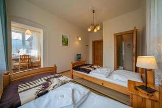 Отели типа «постель и завтрак» Pensjonat Jeleni Róg Шклярска-Поремба Двухместный номер с 1 кроватью и видом на горы-3